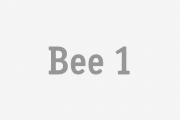 Bee 1