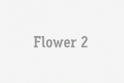 Flower 2